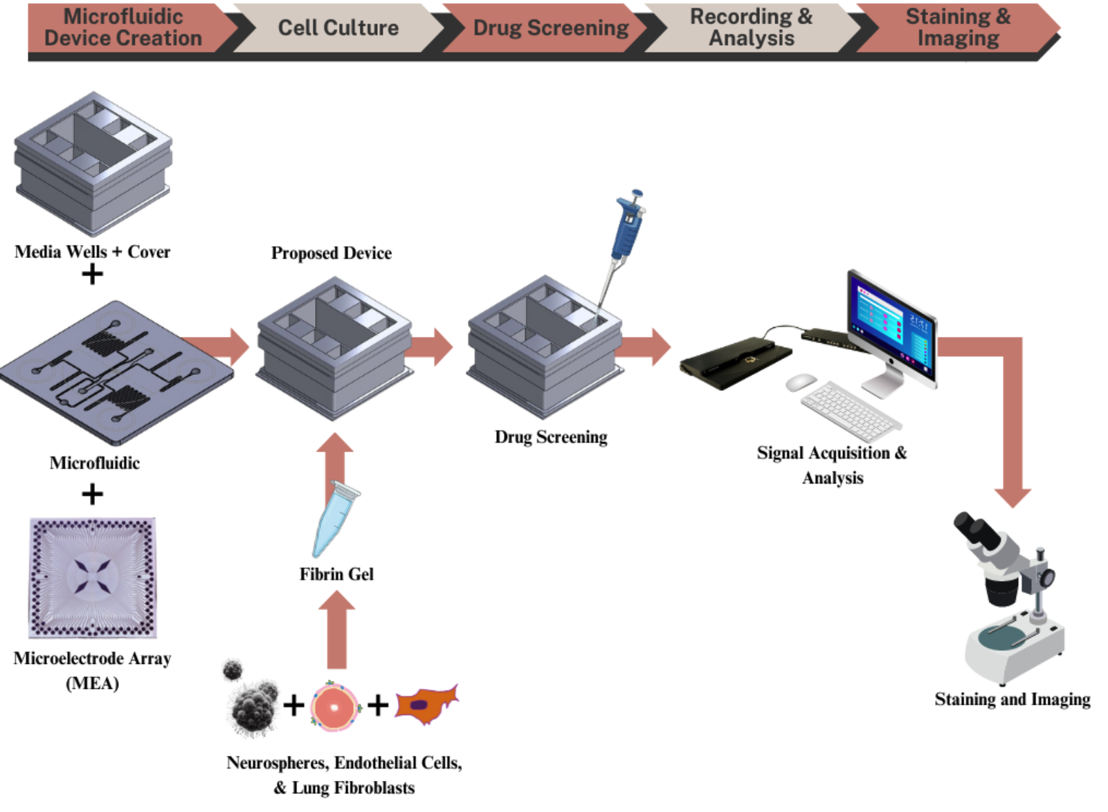 Fabrication Process